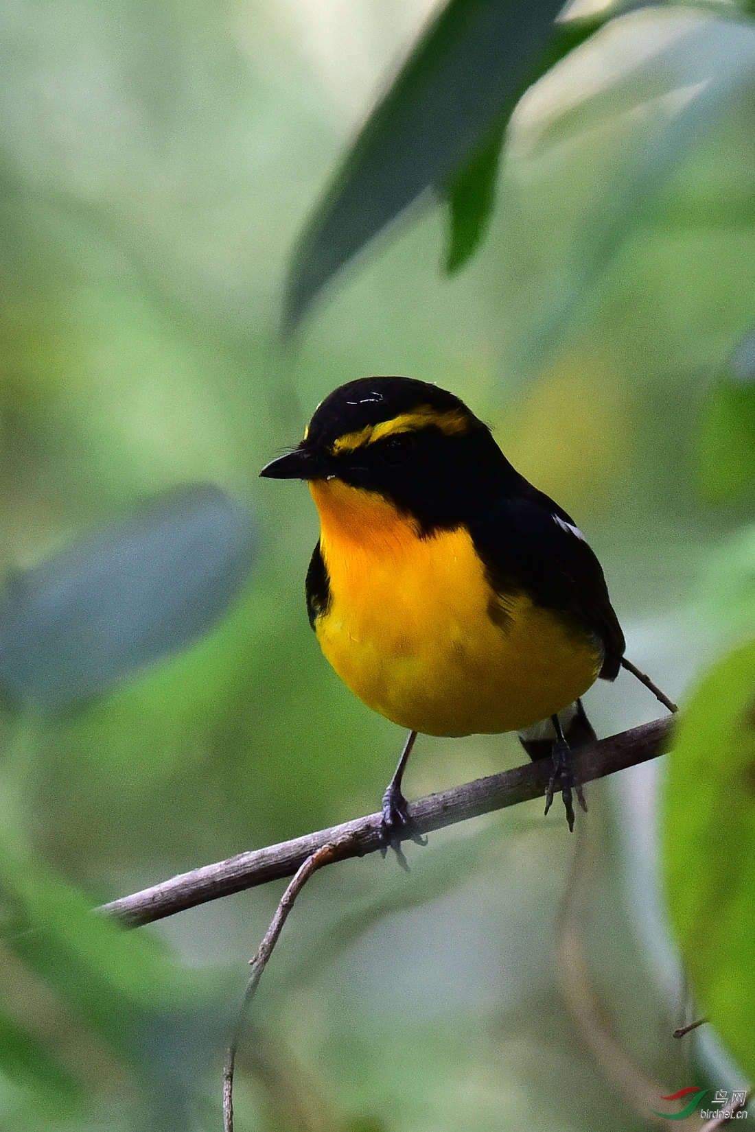 DSC_1130.JPG