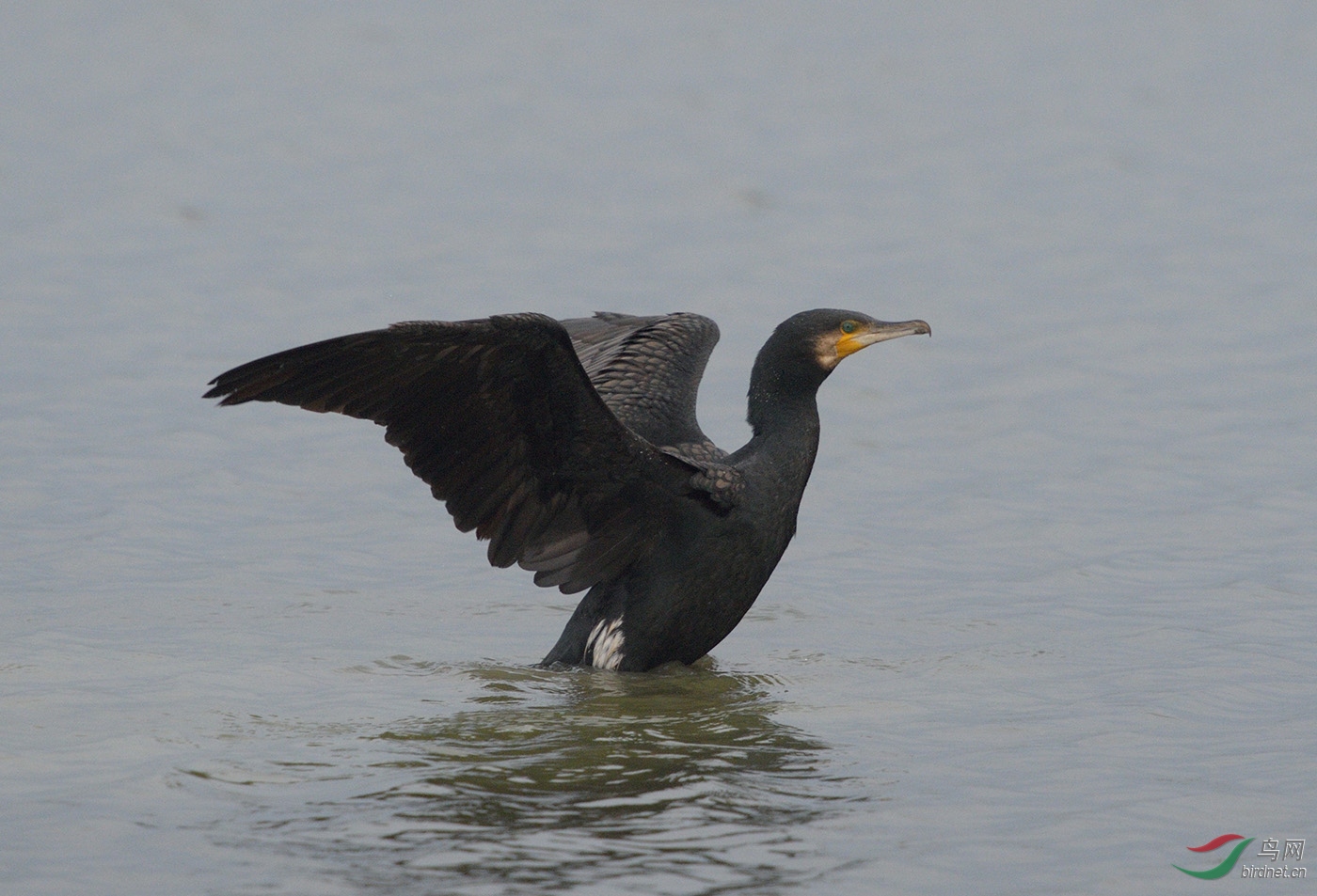 D4S_0063.jpg