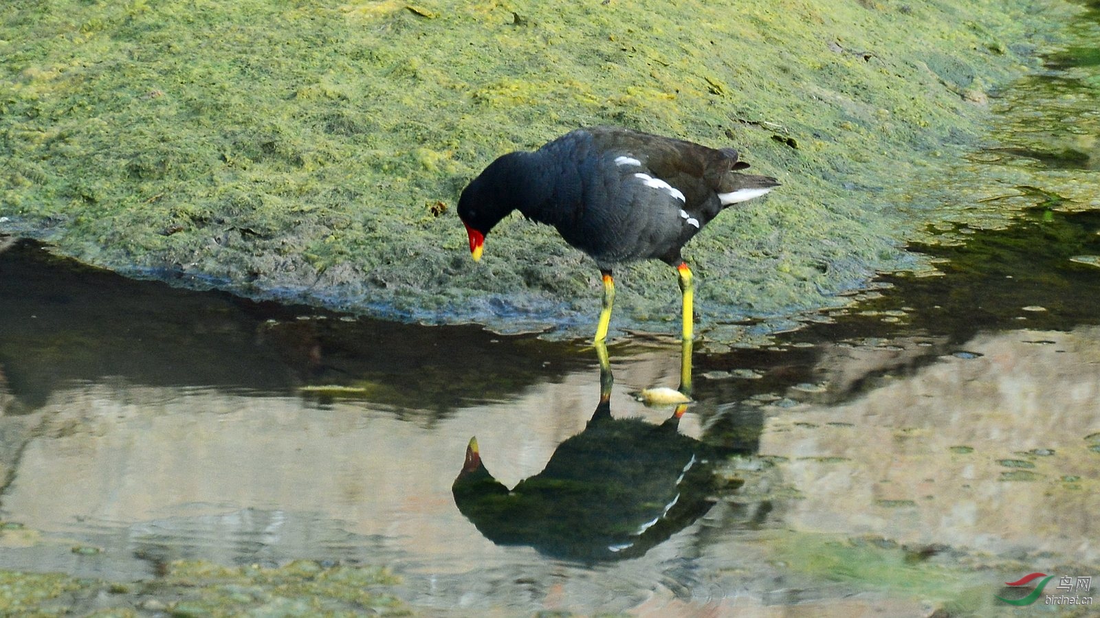 DSC_6236.JPG