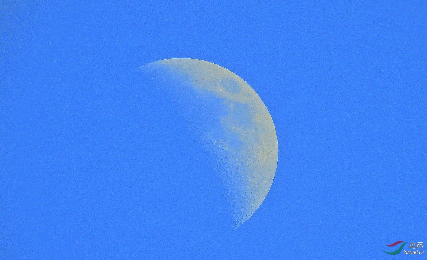 DSCN9297.JPG