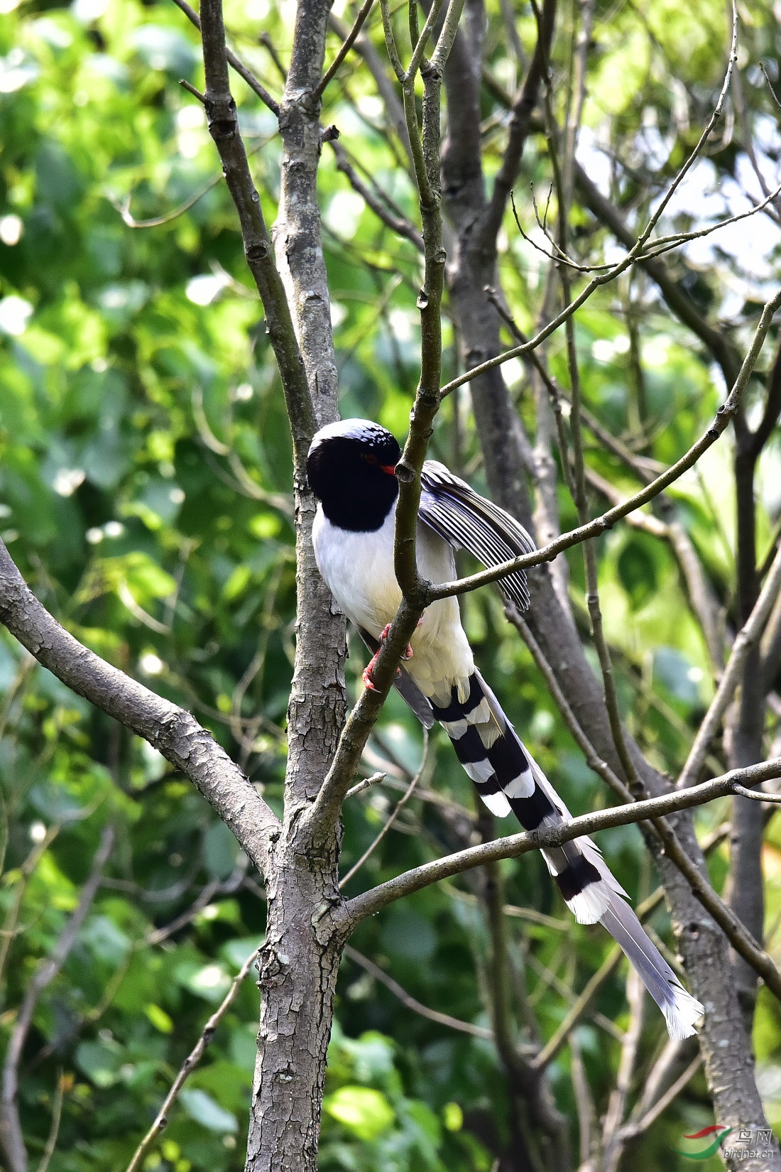 DSC_0361.JPG