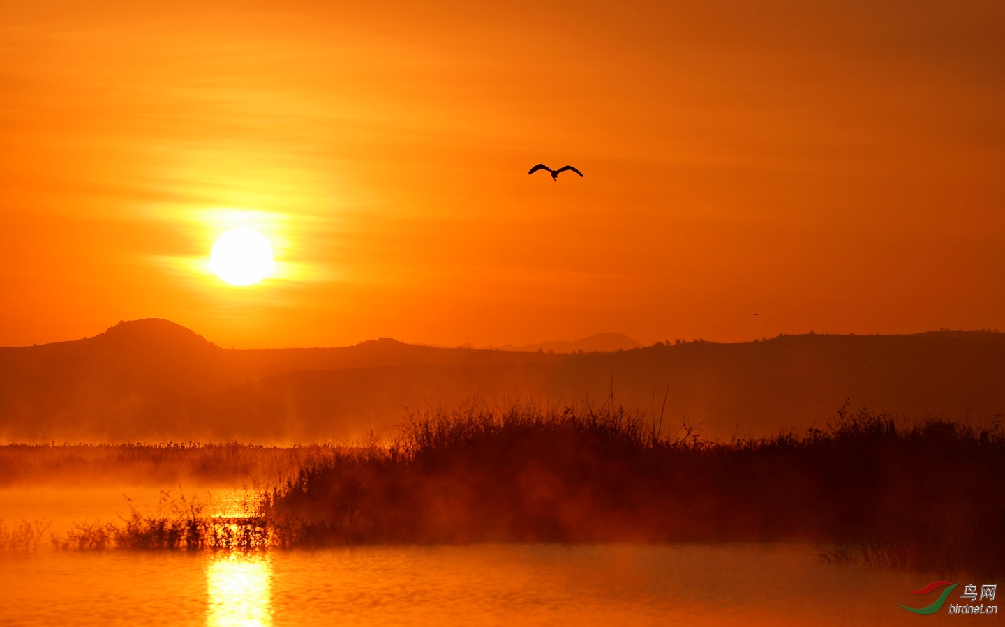 日出霞光红似火