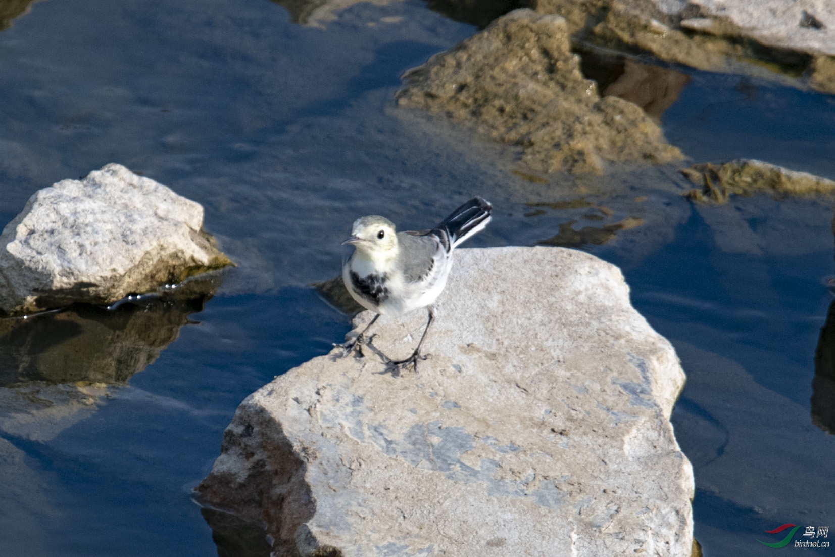 D50_1108.jpg
