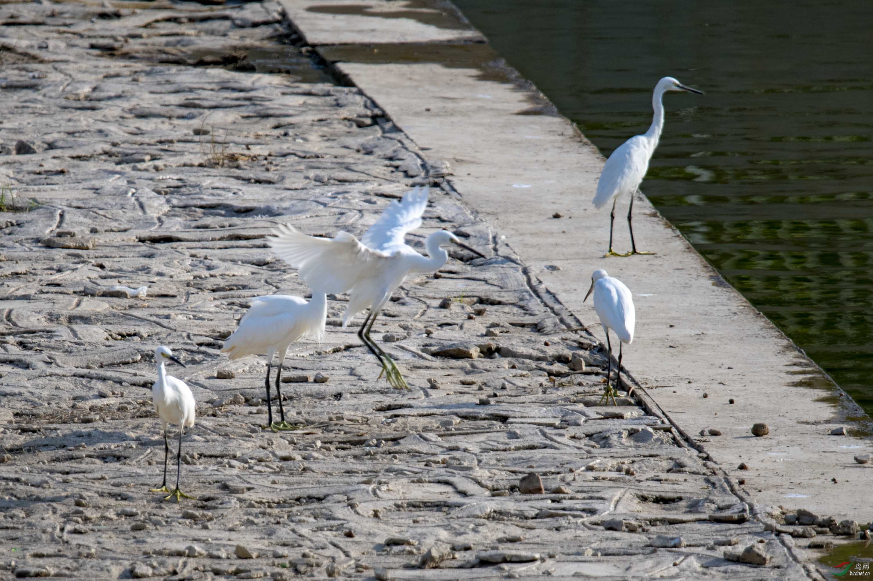 D50_1125.jpg