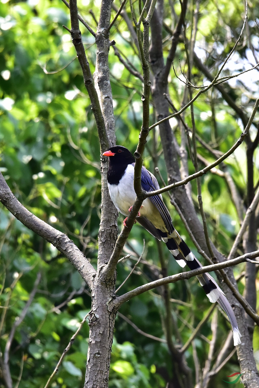 DSC_0363.JPG