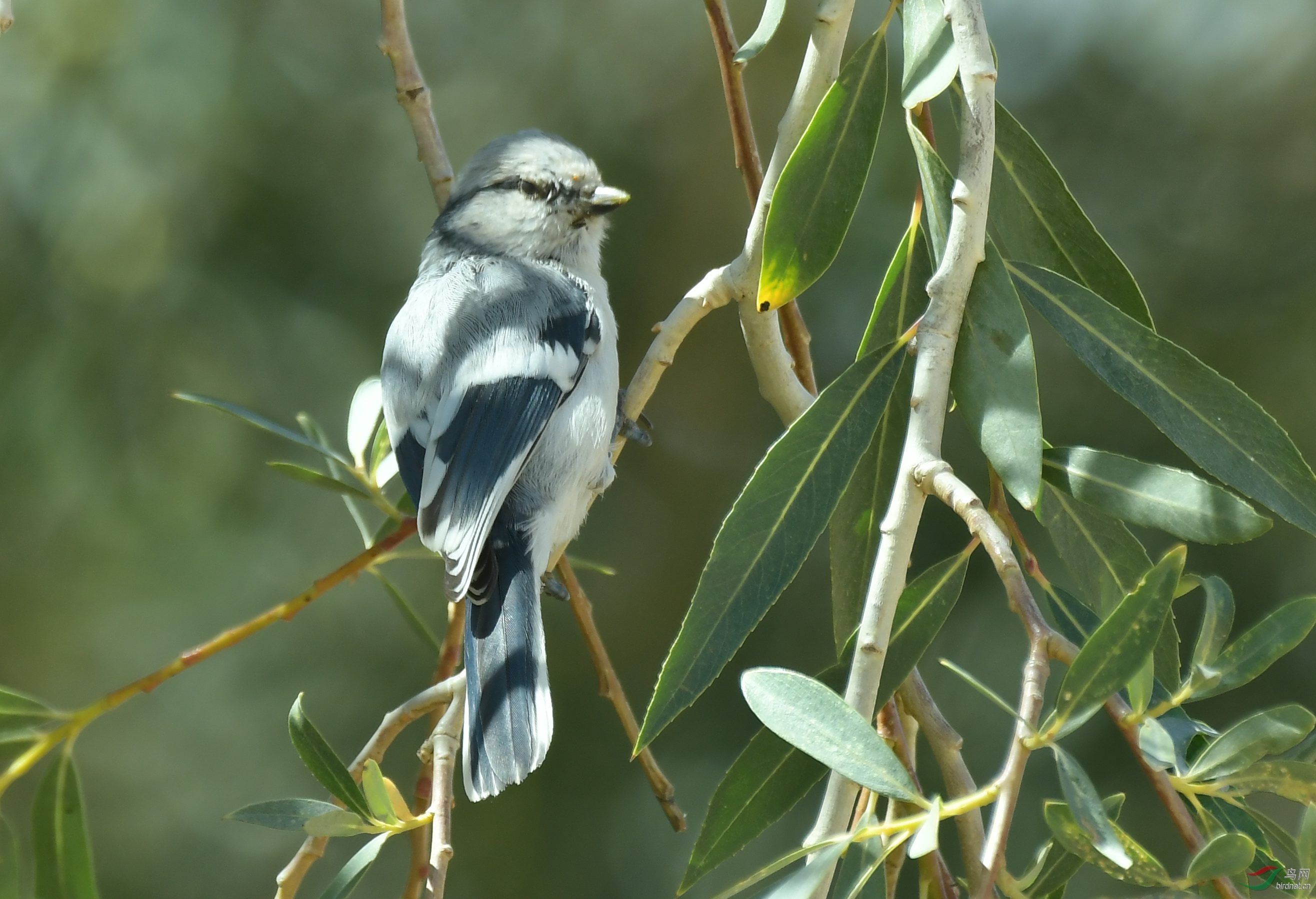 DSC_4141.JPG