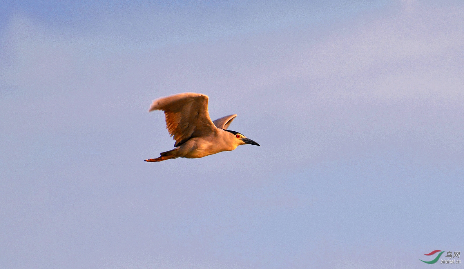 DSC_0805.JPG