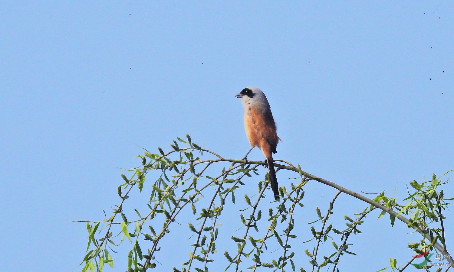 DSCN6974.JPG