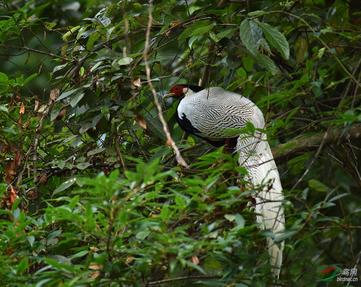 D8I_9430.jpg