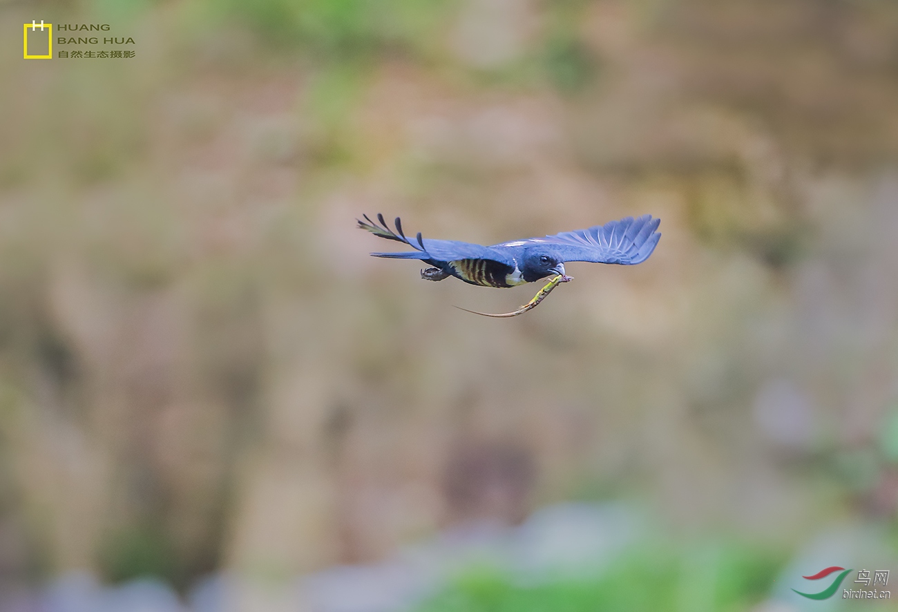 AA9A6544A.jpg
