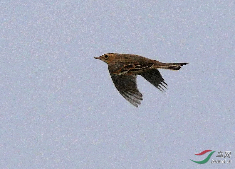 P3240566 - ����.JPG