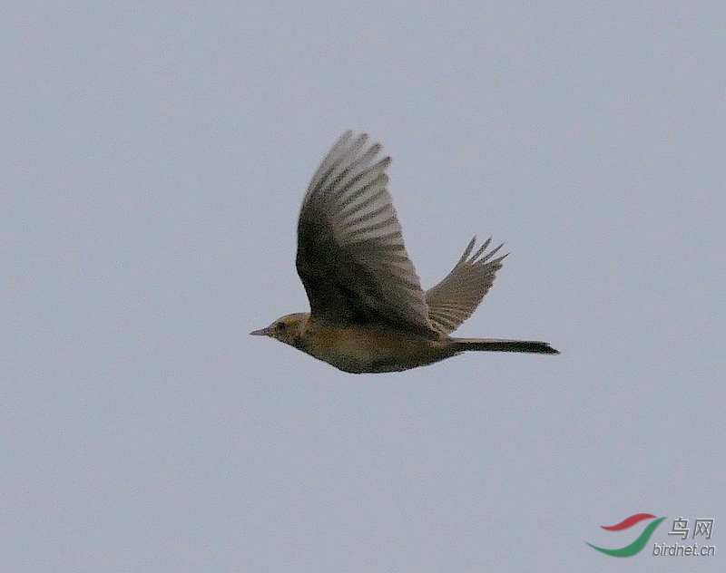 P3240379 - ����.JPG