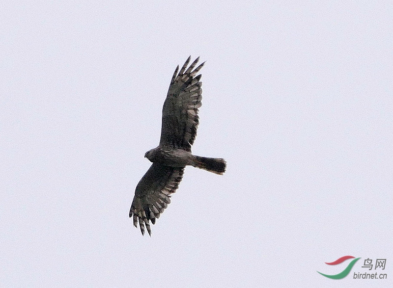 P3240029 - ����.JPG