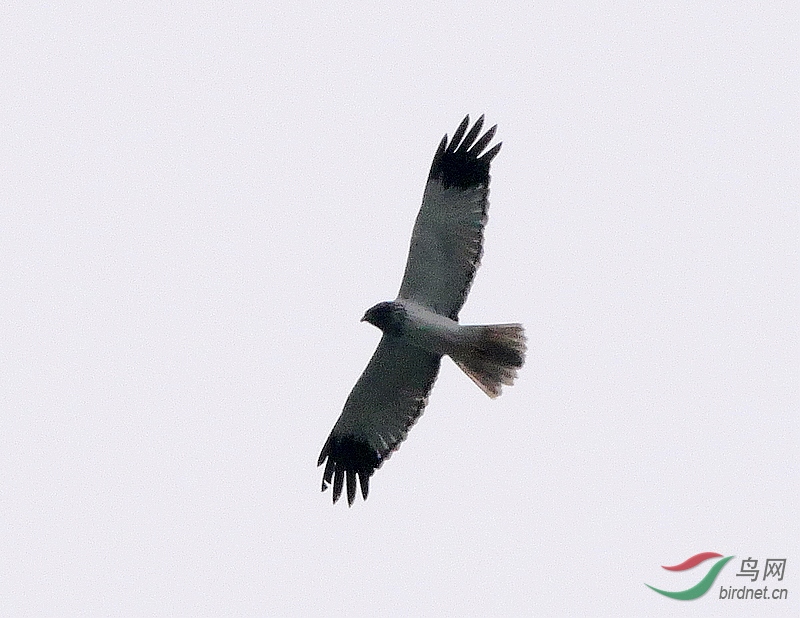 P3230906 - ����.JPG