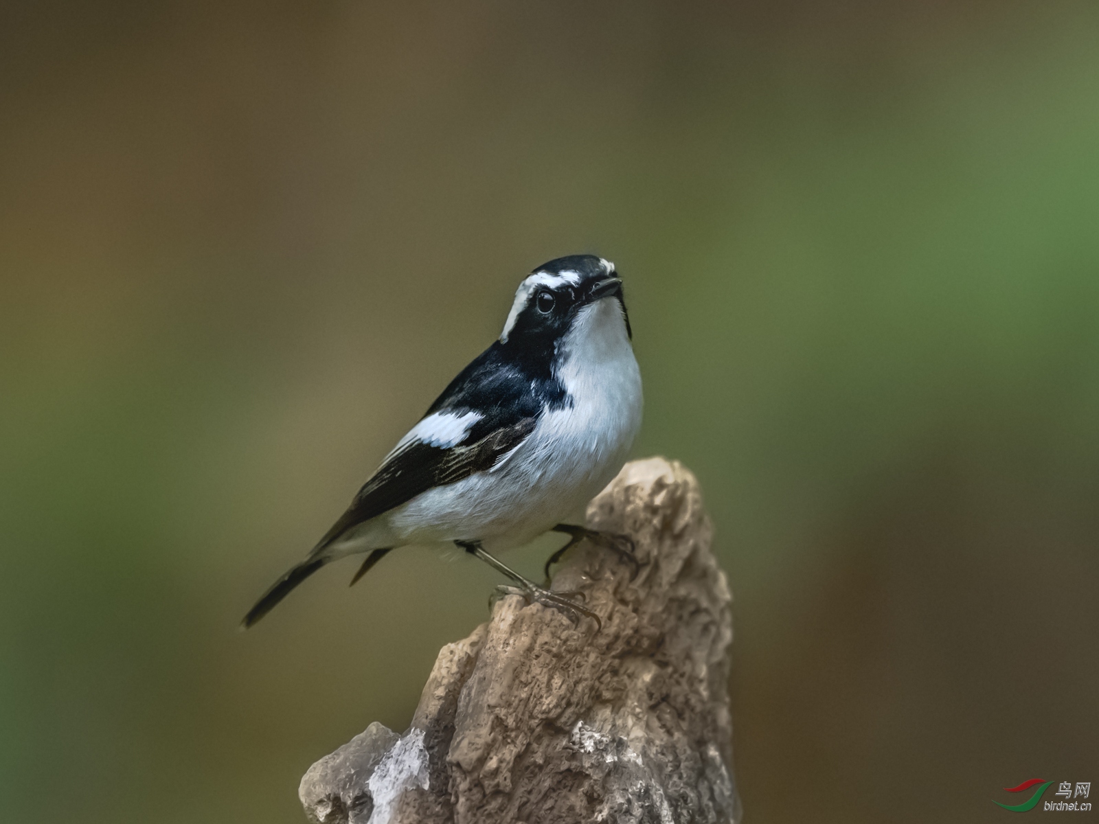 DSC_1143.jpg