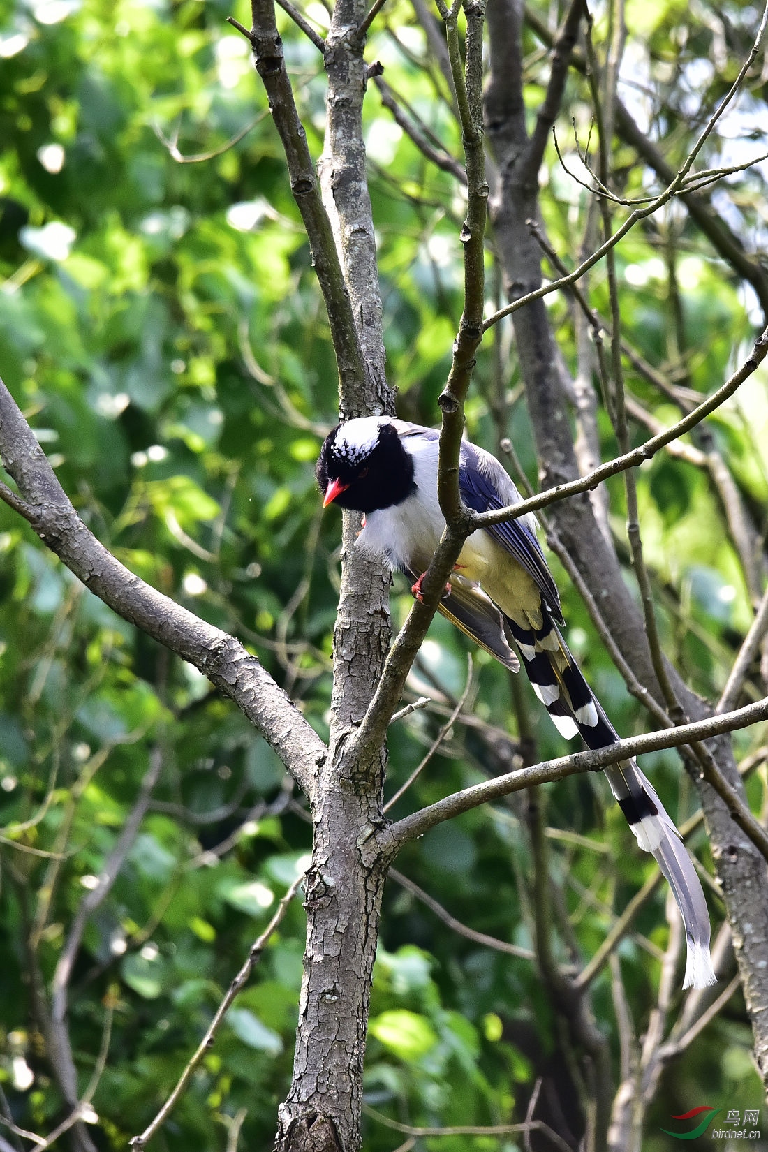DSC_0364.JPG