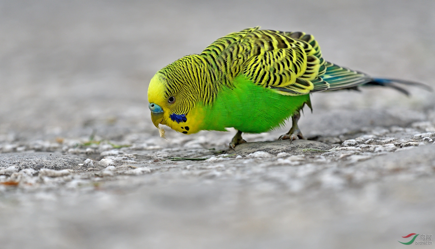 DSC_7865_����.jpg