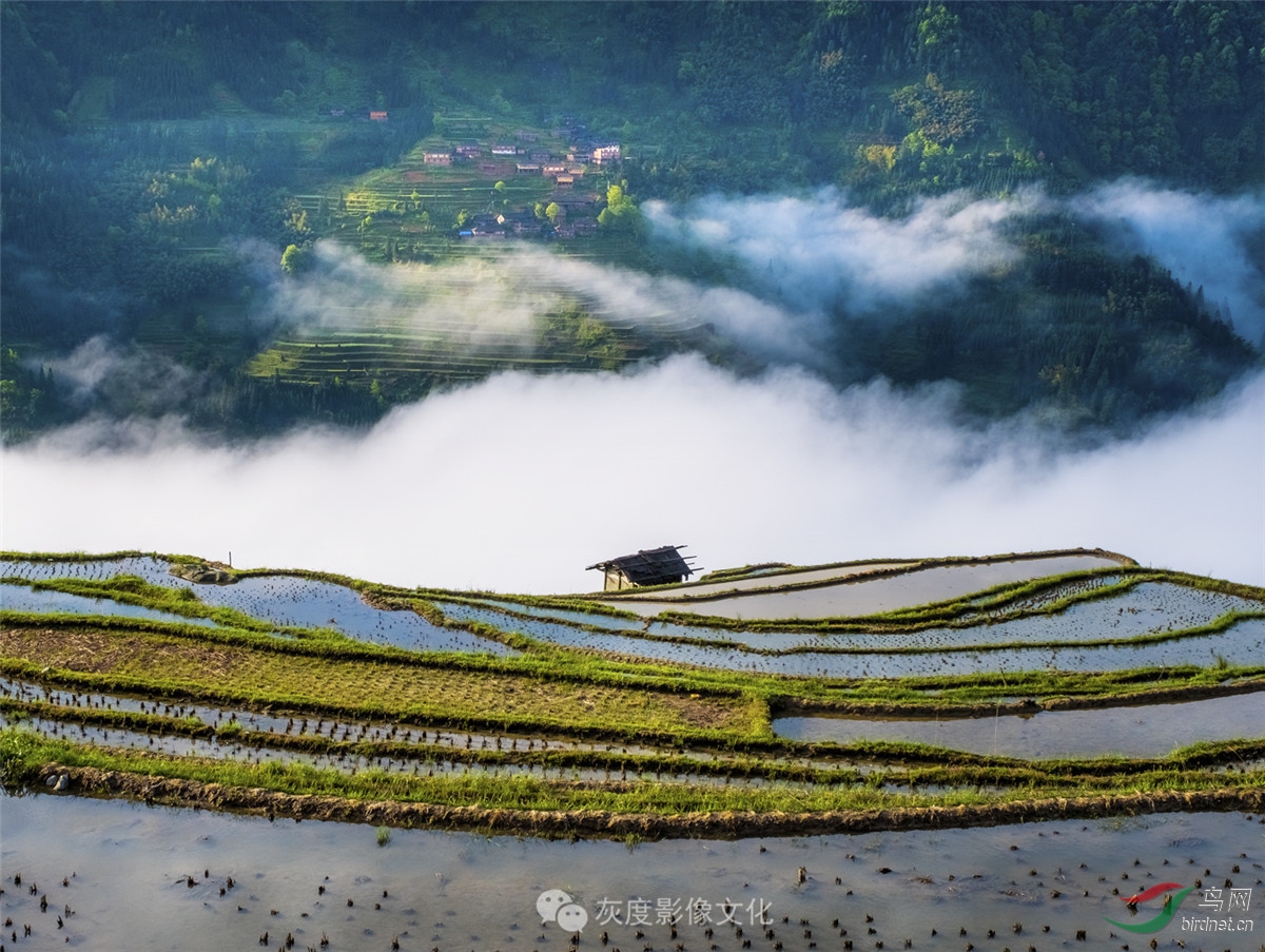 15贵州30 Guizhou in China30.jpg