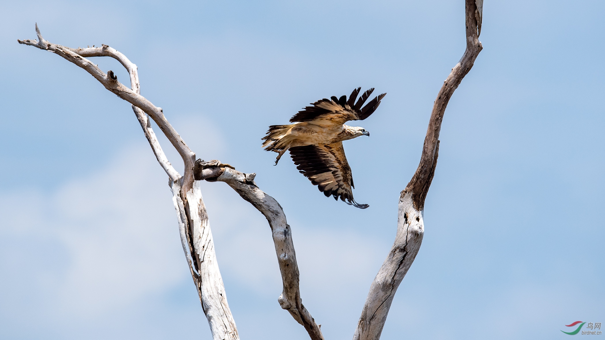 DSC_1724-1.jpg
