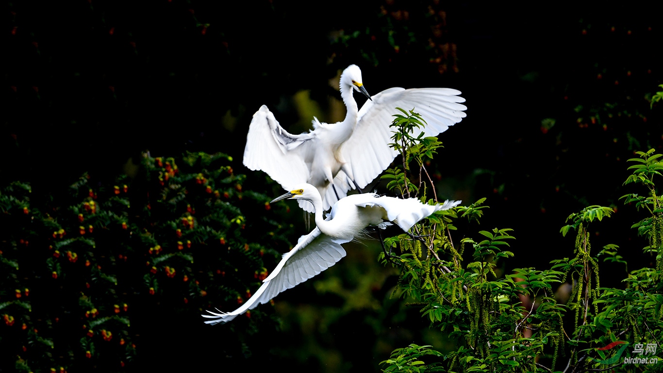 DSC_6072 (2).JPG