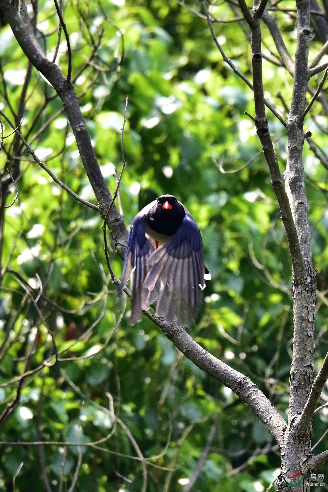 DSC_0366.JPG