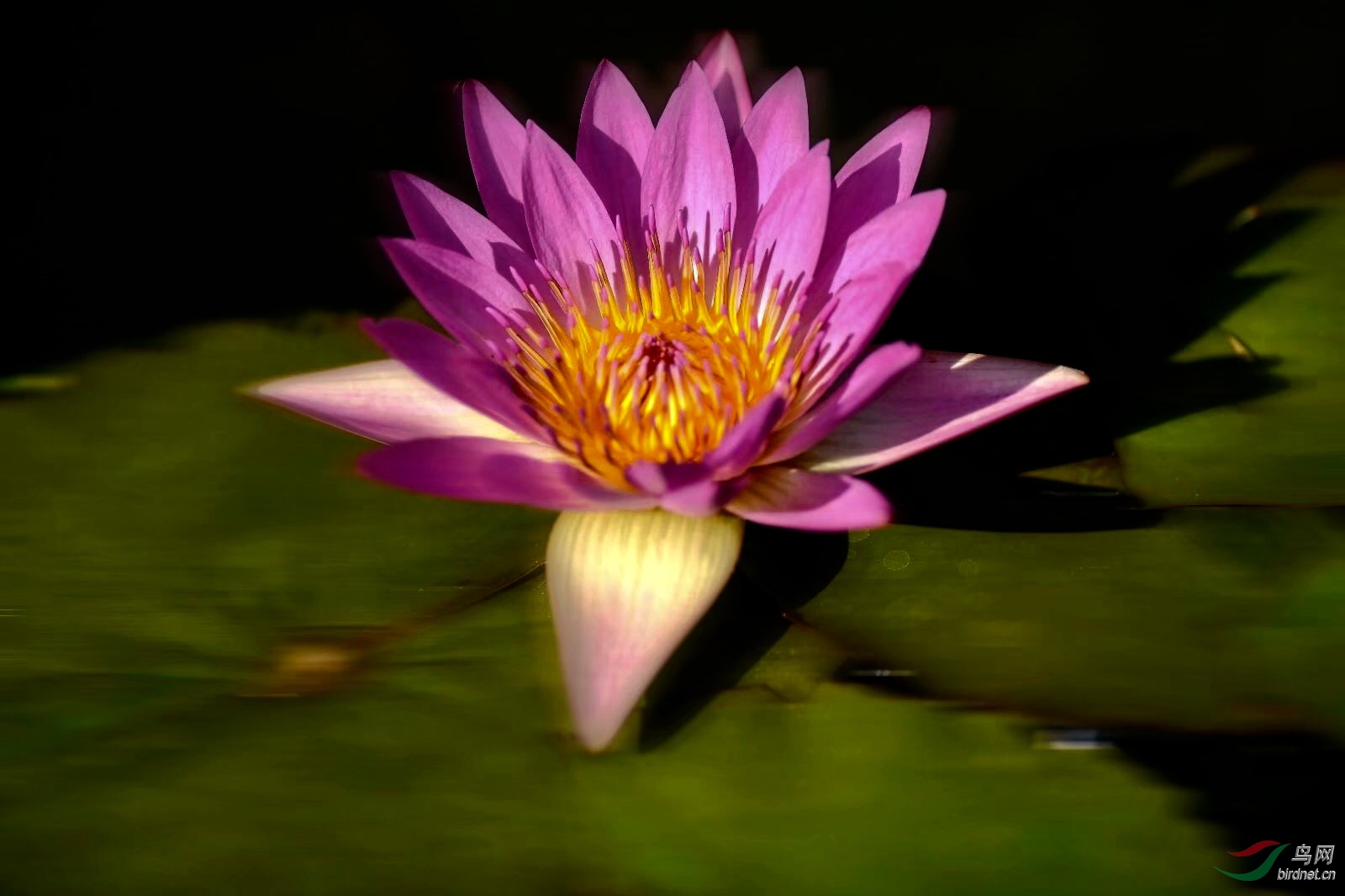36DD3174-729C-48C6-80CE-2951B5DAE8B6.jpeg