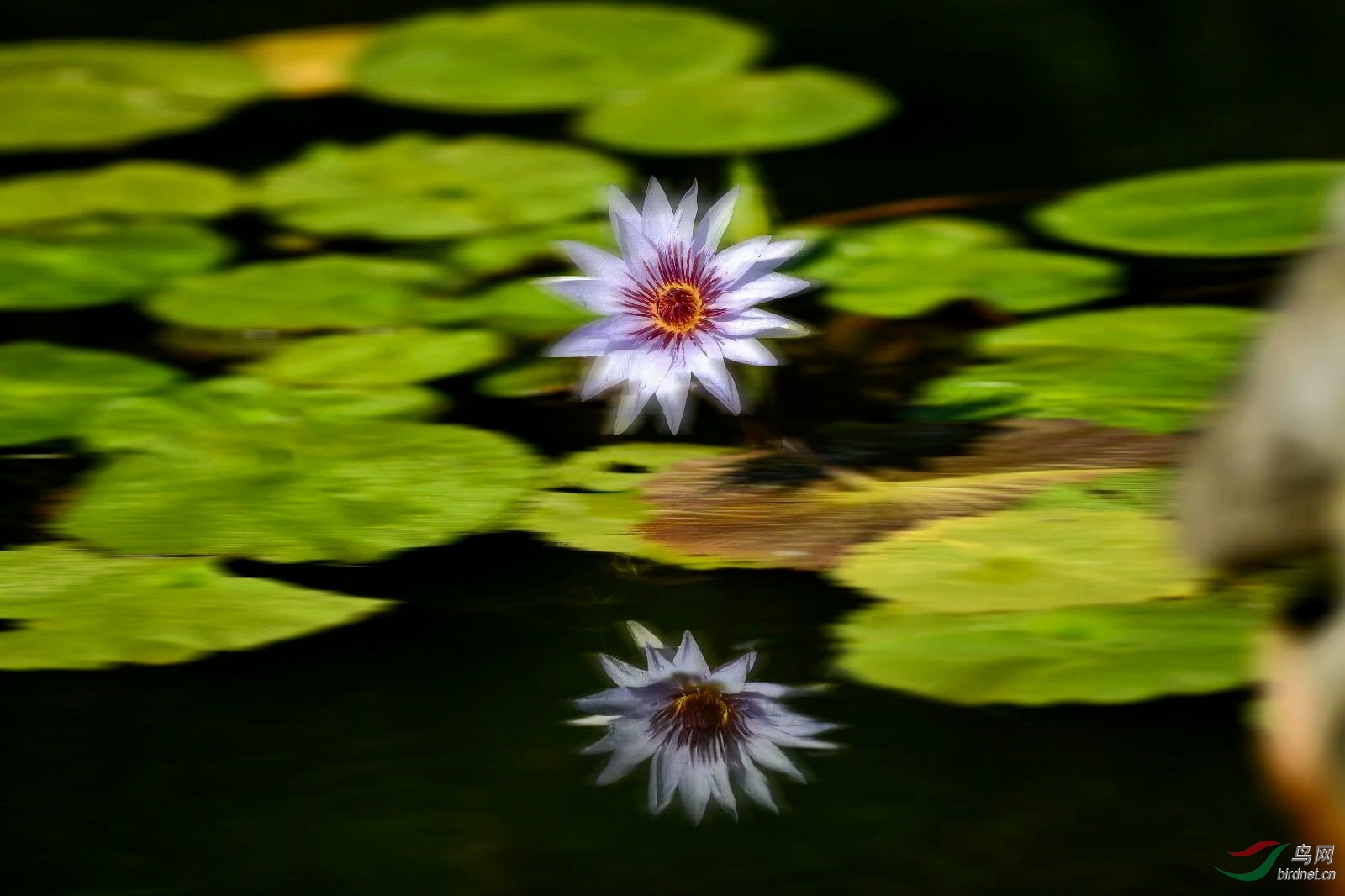 3143A2AB-409E-458F-AA80-630050ACE249.jpeg