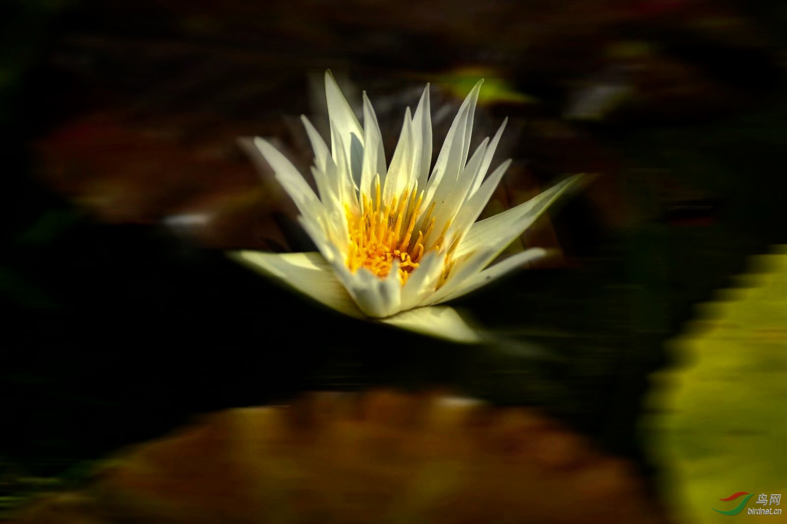 E0594F01-4CE6-450E-8DB9-3A6D48DCC8E3.jpeg