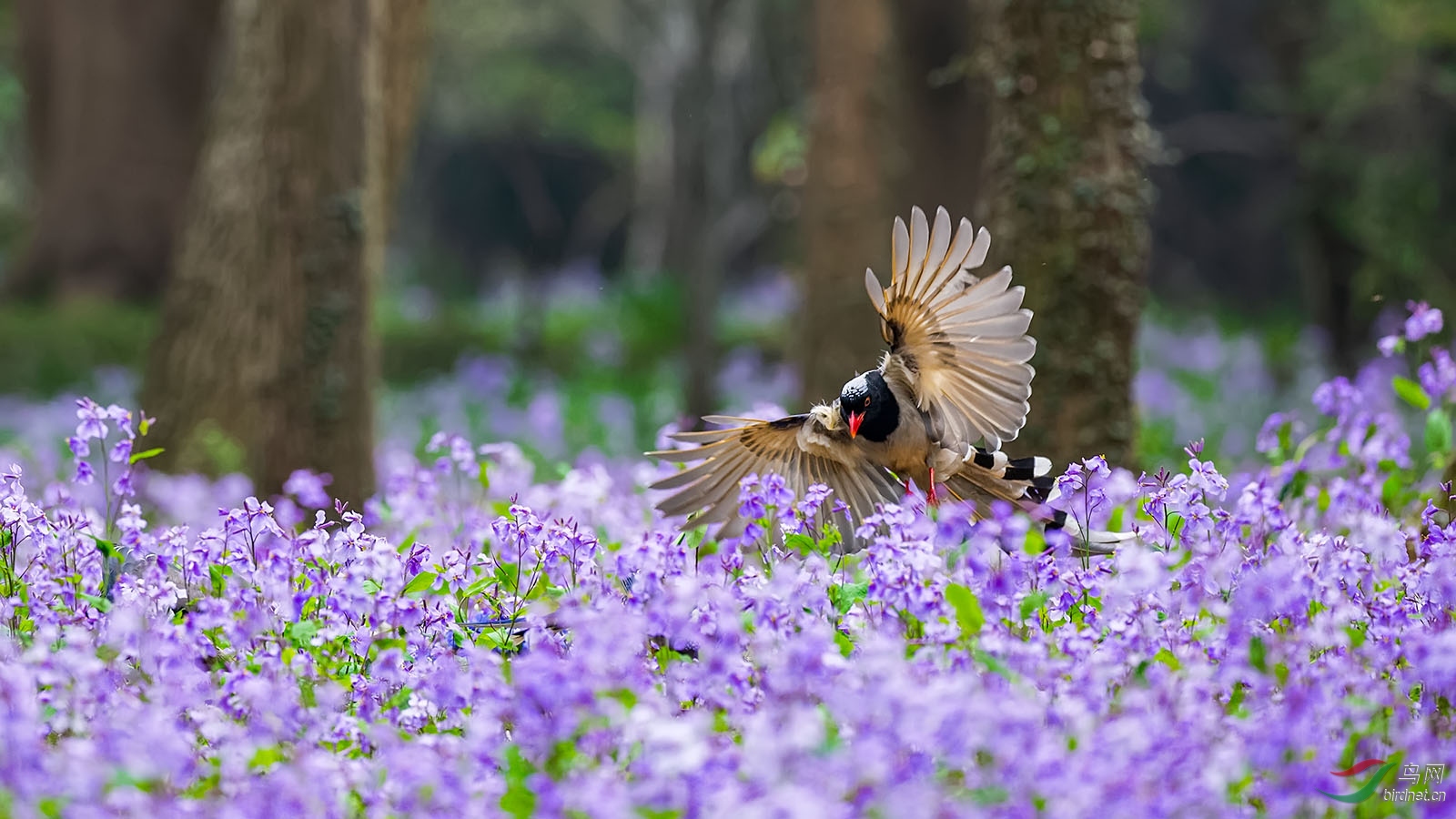 16NJ2251_DxO ����.jpg