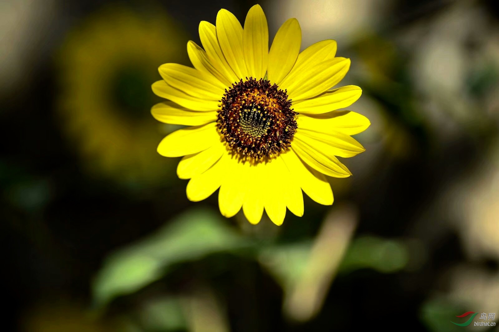 045DE14D-4D97-476F-B015-0376832FDBB8.jpeg