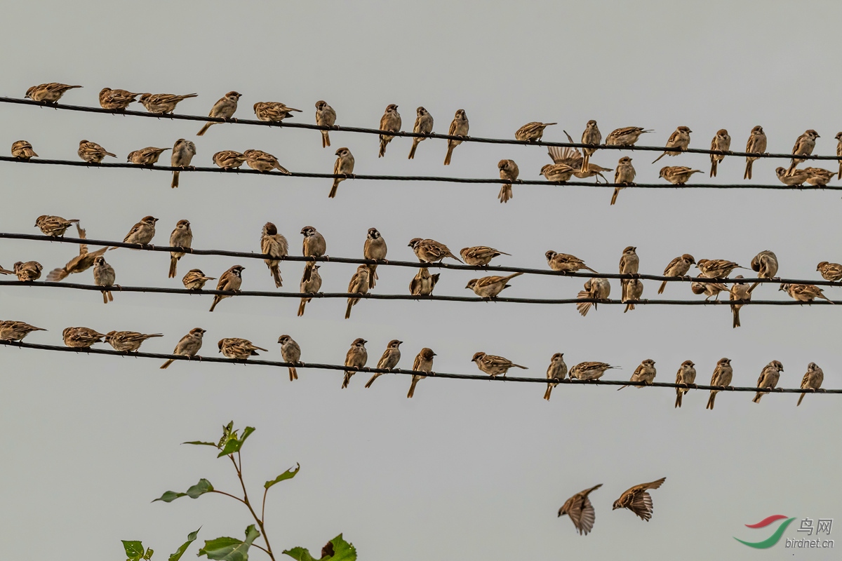 DSC_3262.jpg