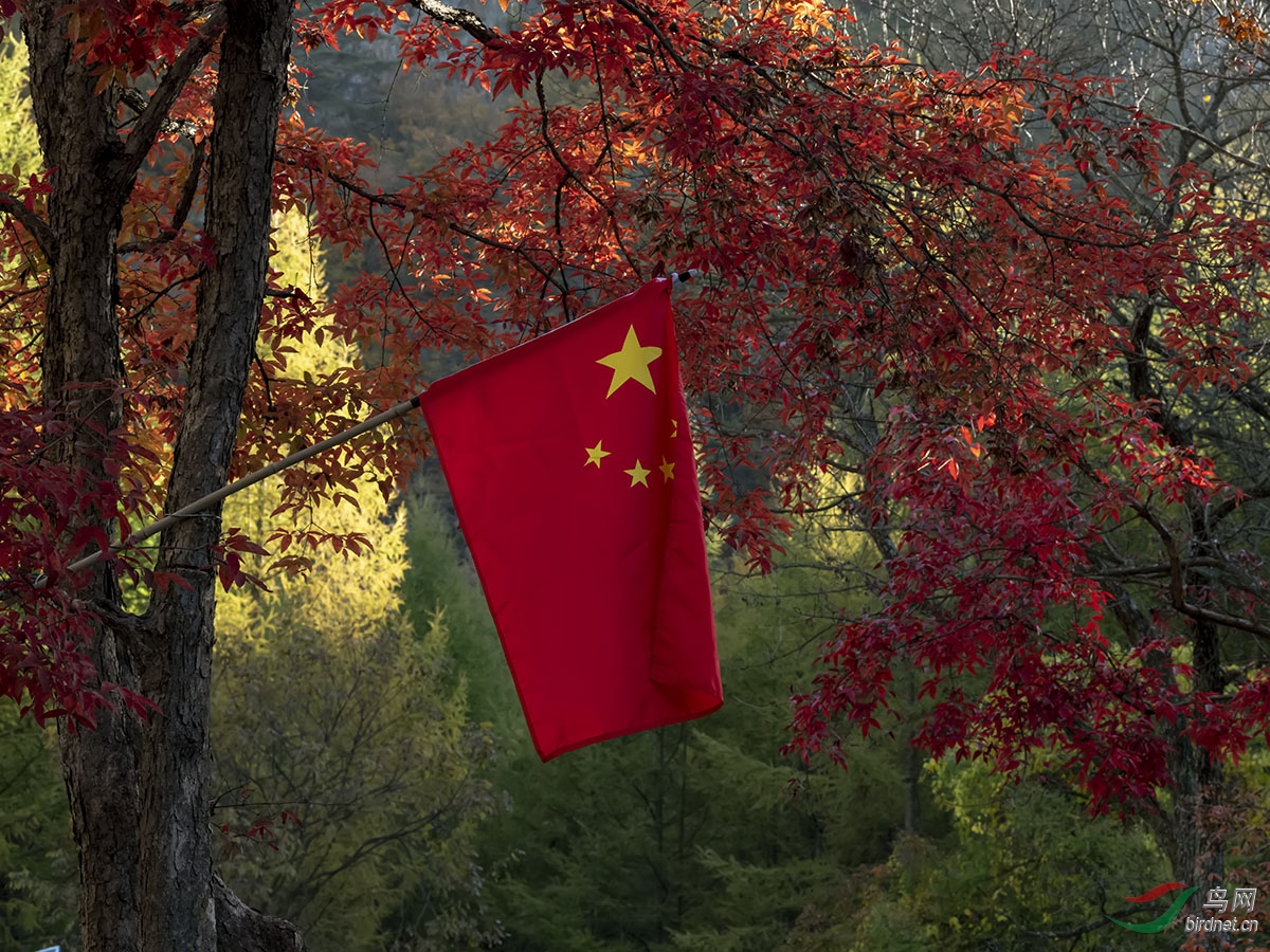 00628.jpg-.jpg