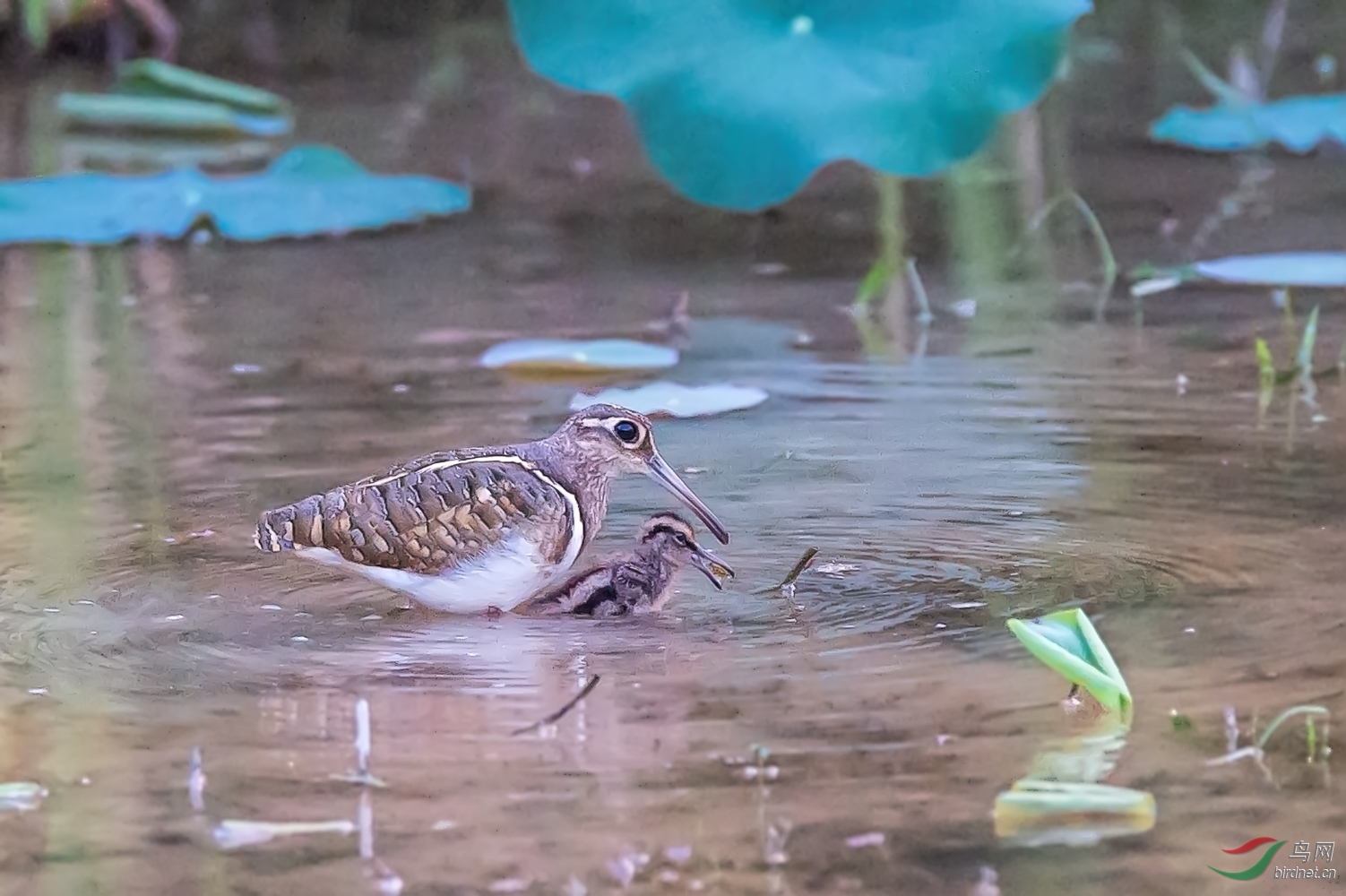 DSC_5761_1.jpg
