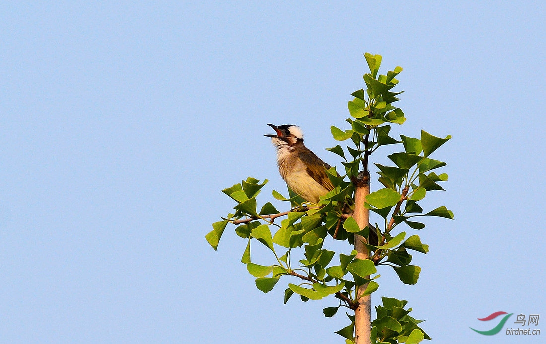 DSC_5436.JPG