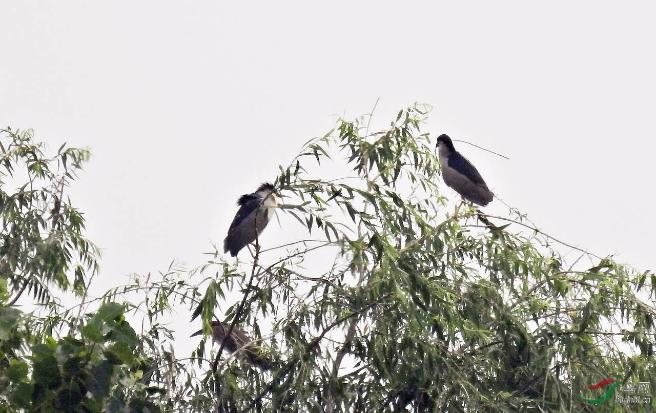 DSCN2133.JPG