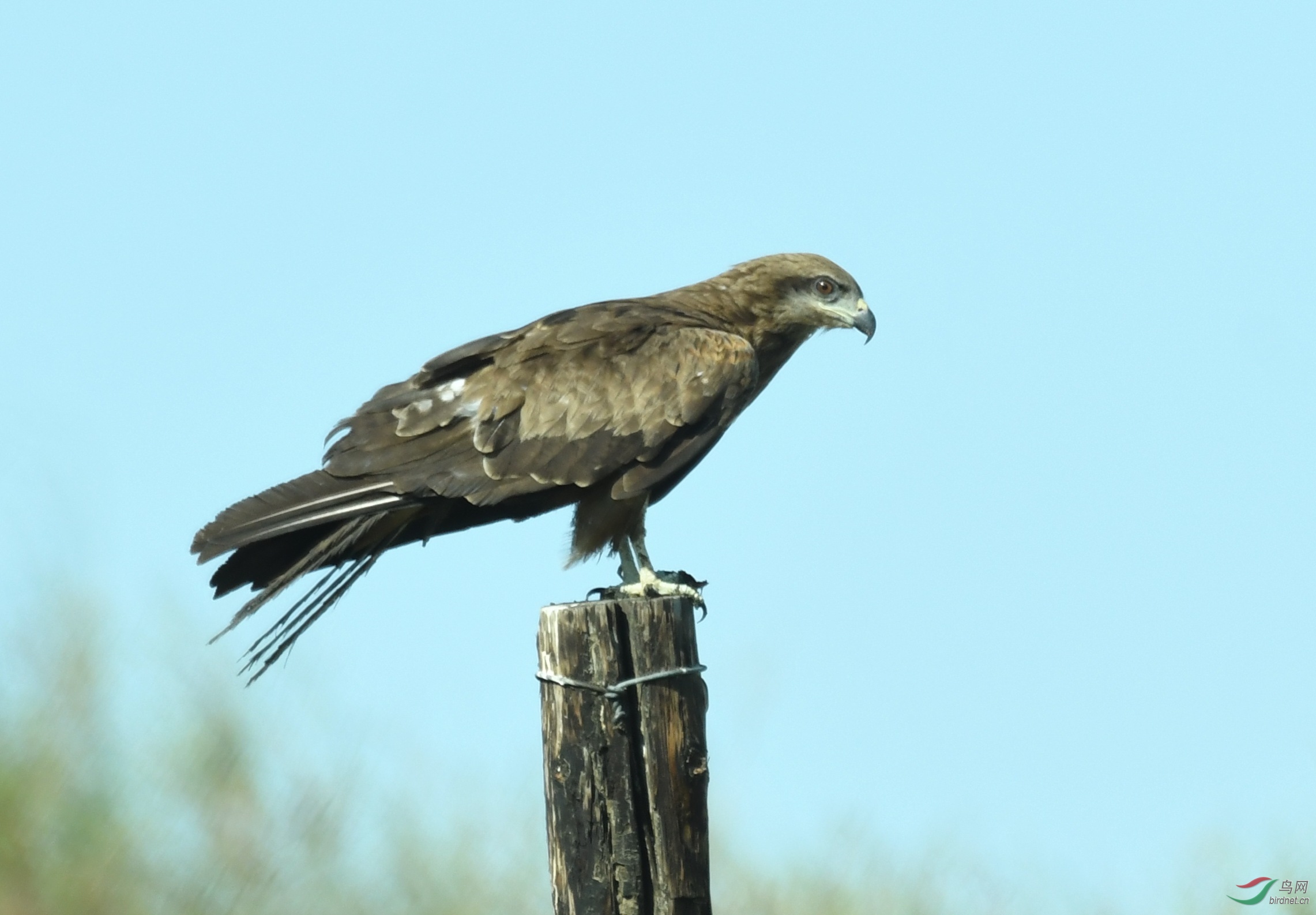 DSC_2628.JPG