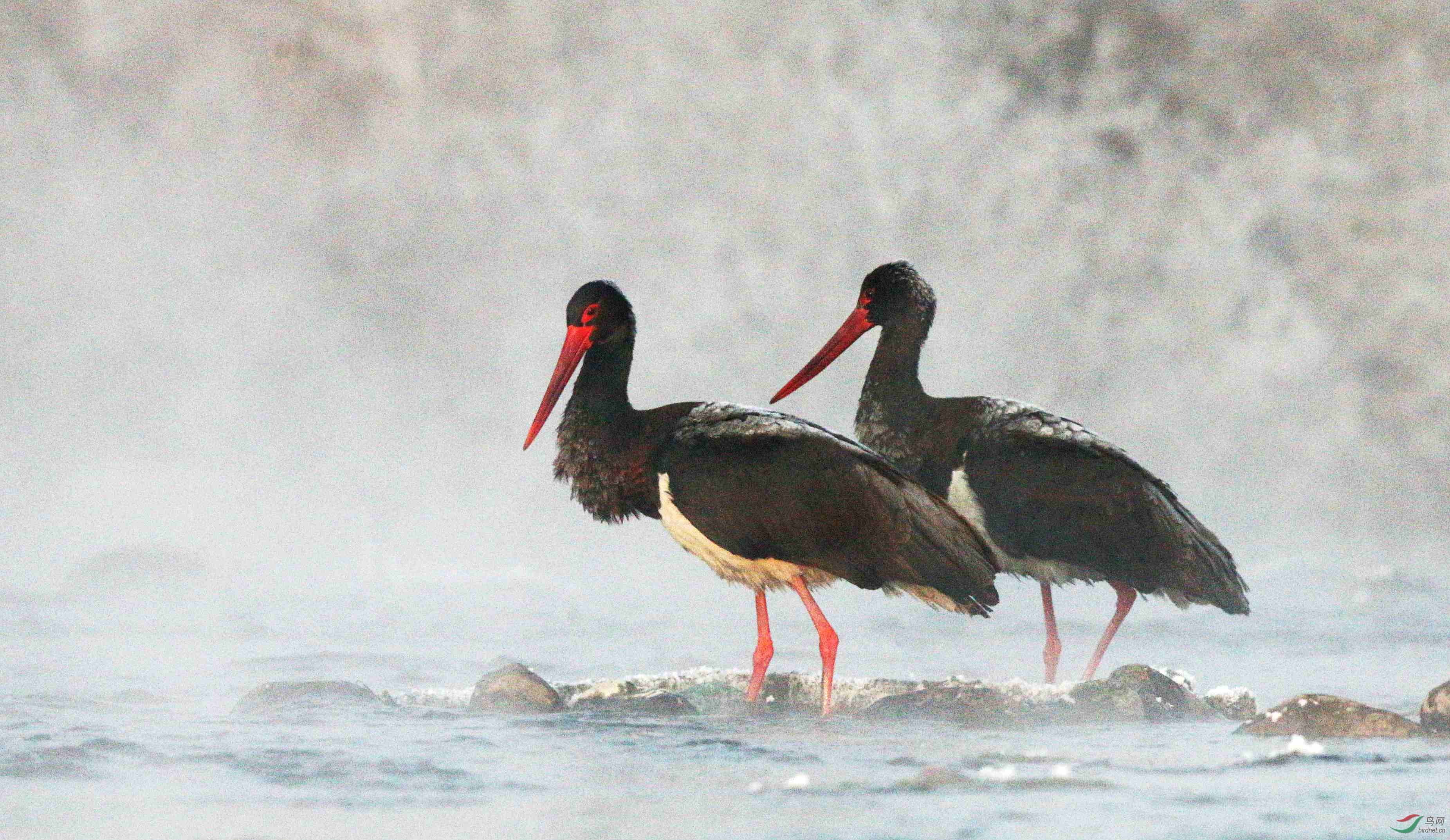 H46R9266_���� - ����.jpg