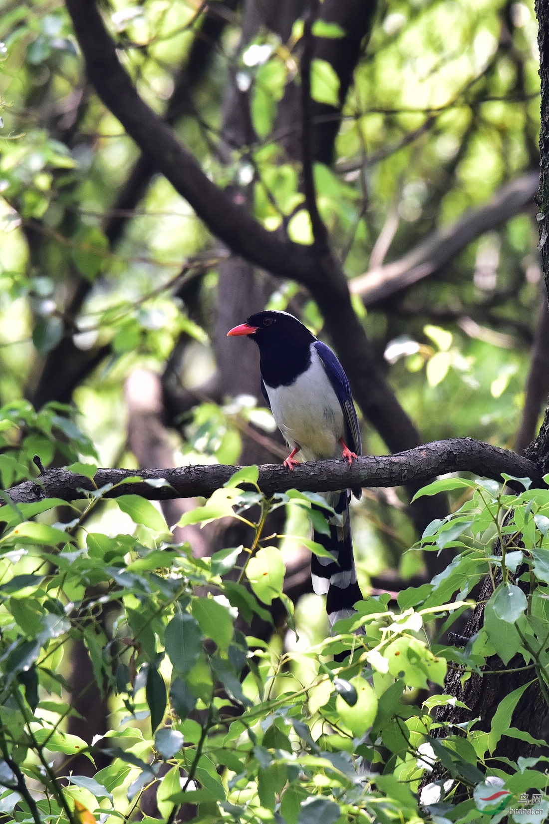 DSC_0371.JPG