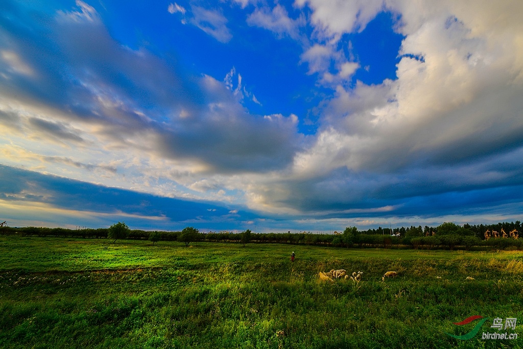 DSC_5067.JPG