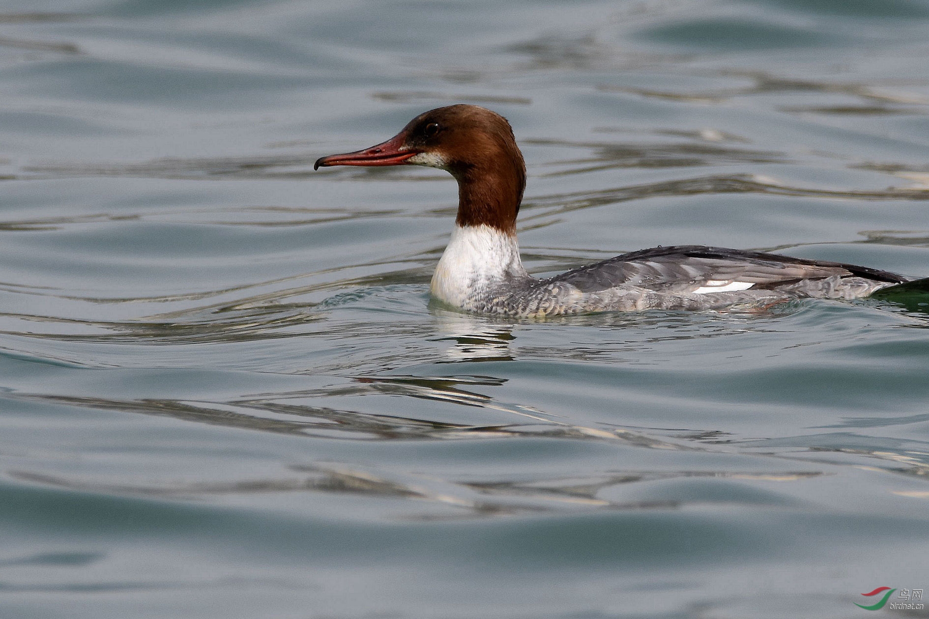 DSC_0640.JPG