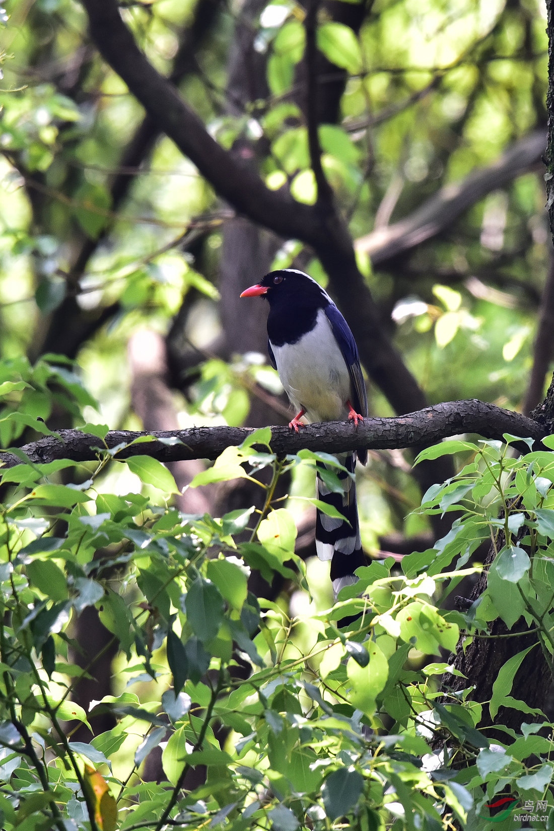 DSC_0372.JPG