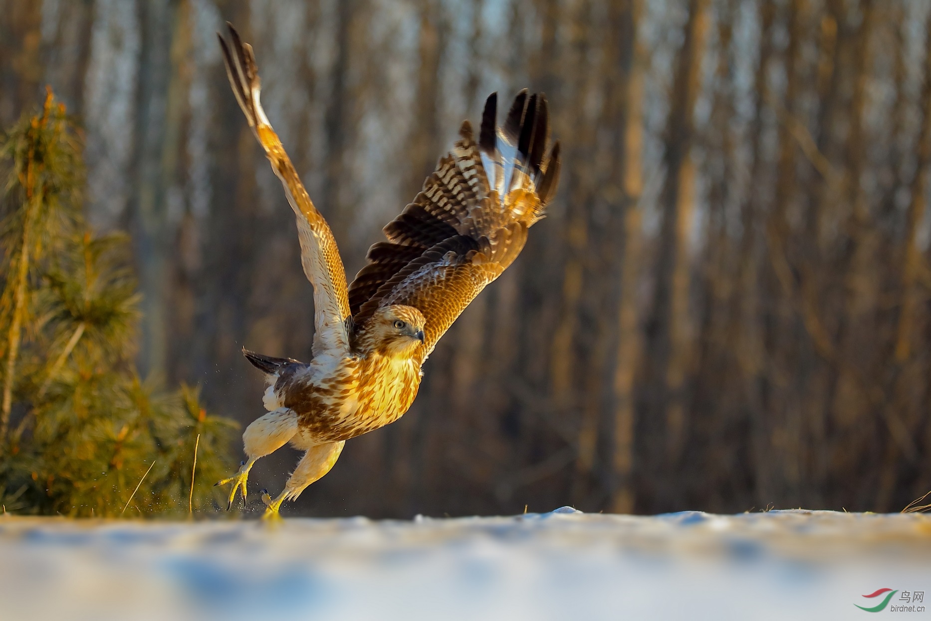 LRM_EXPORT_12847458760072_20190629_140526423_polarr.jpg