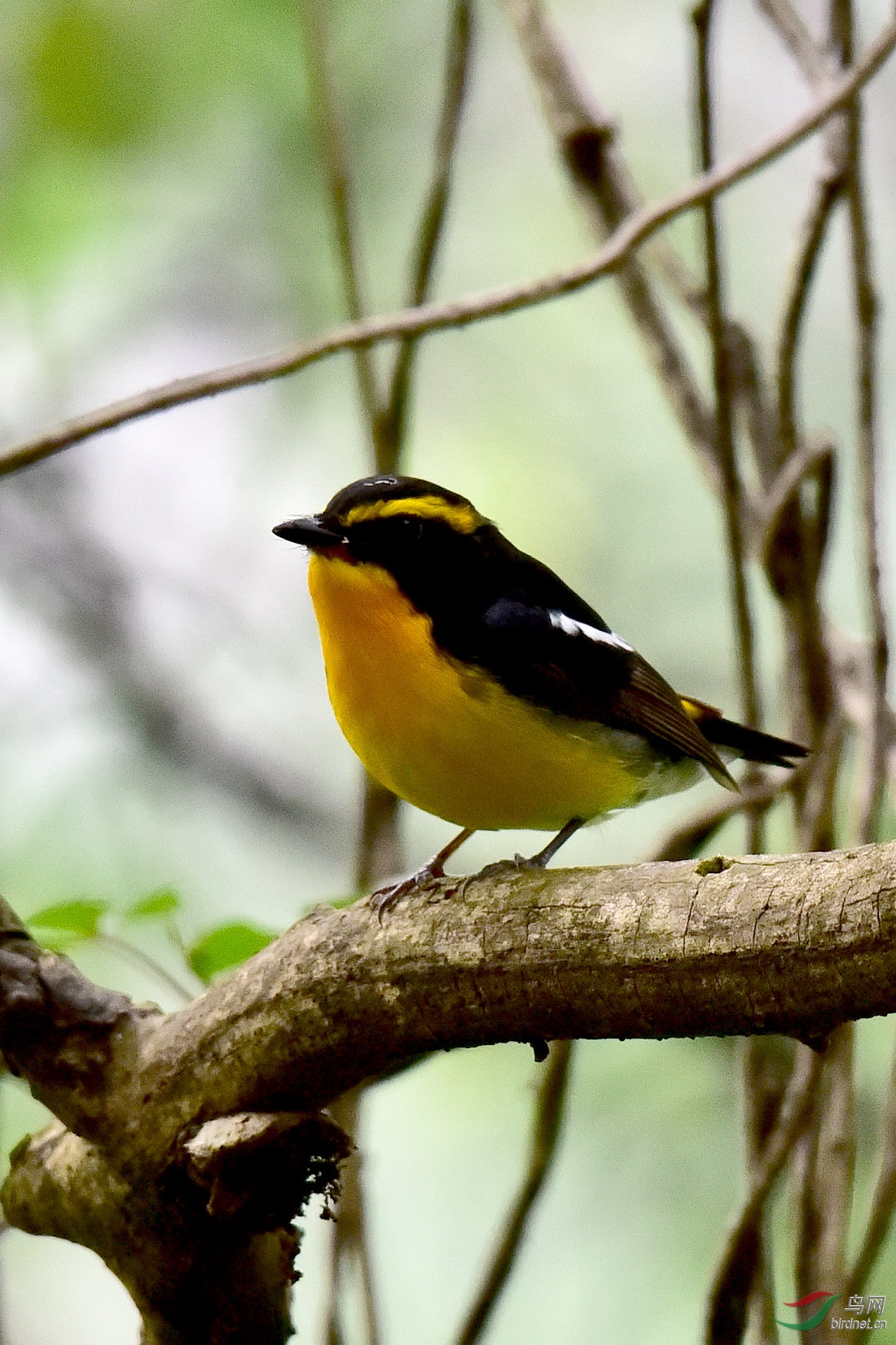 DSC_1143.JPG