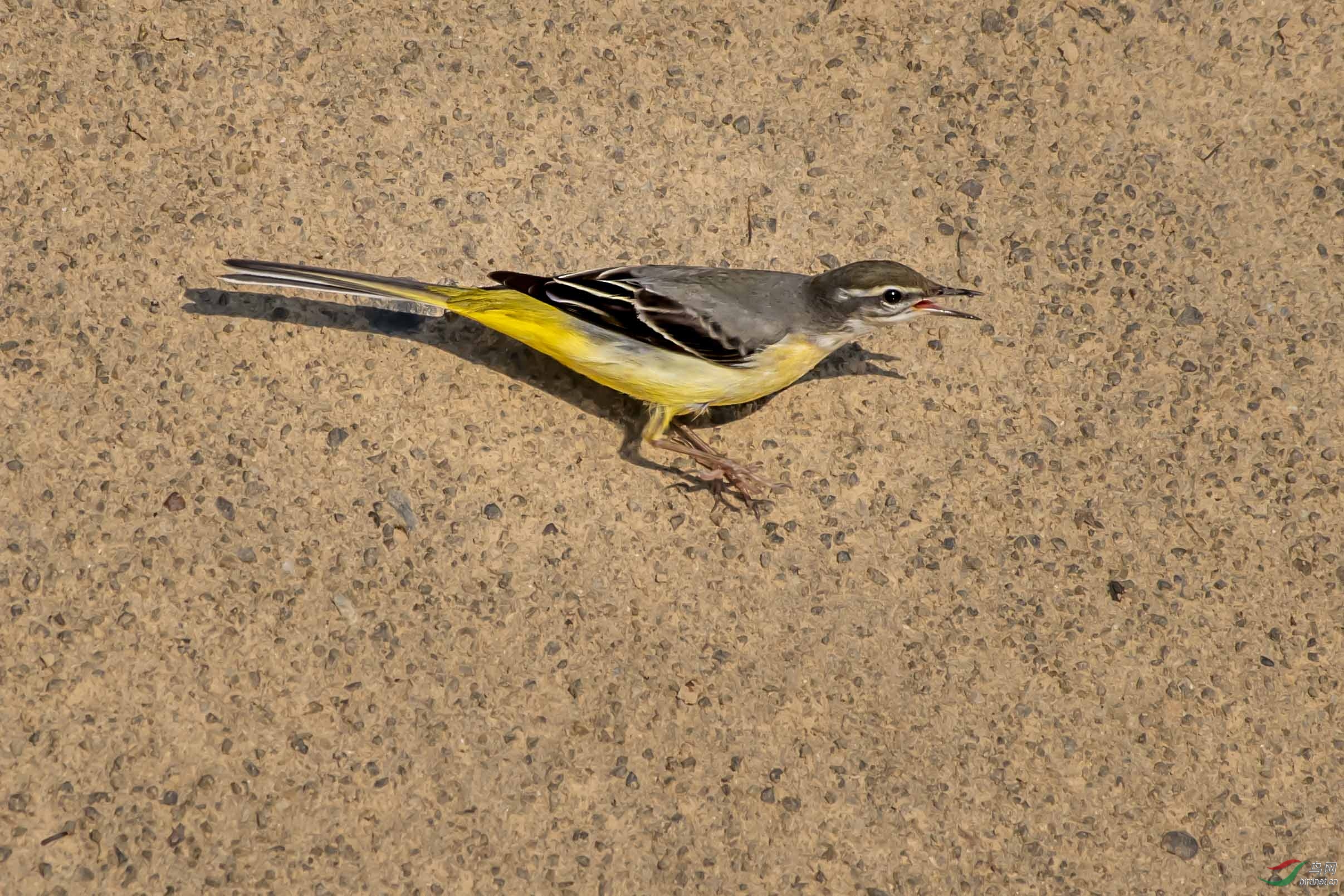 DSC_0970.jpg
