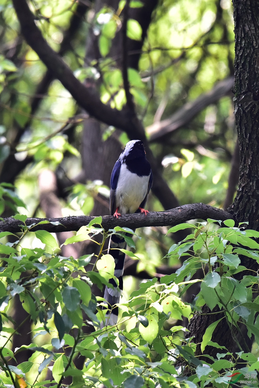 DSC_0374.JPG