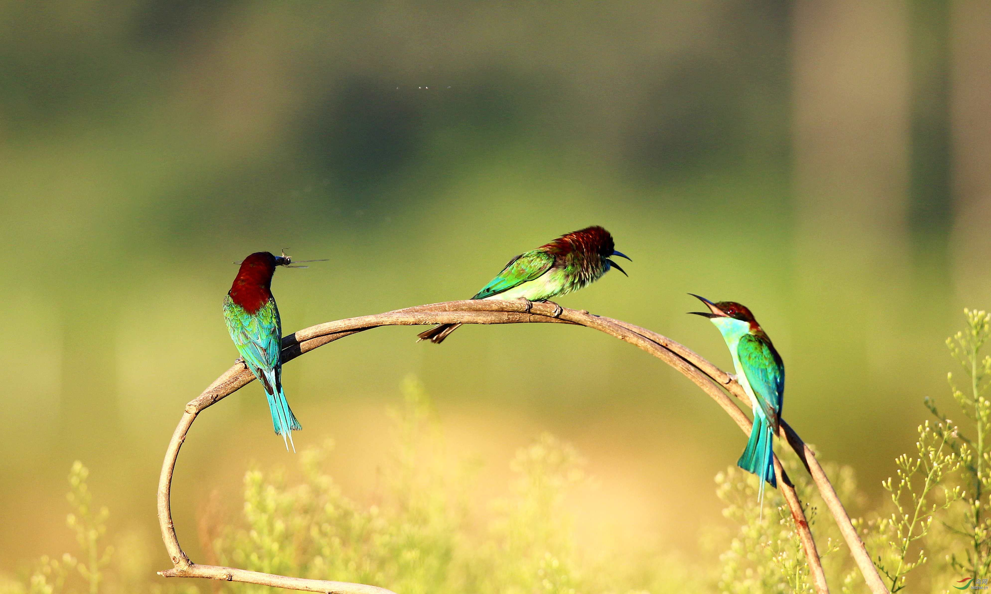 H46R9695_���� (2).jpg