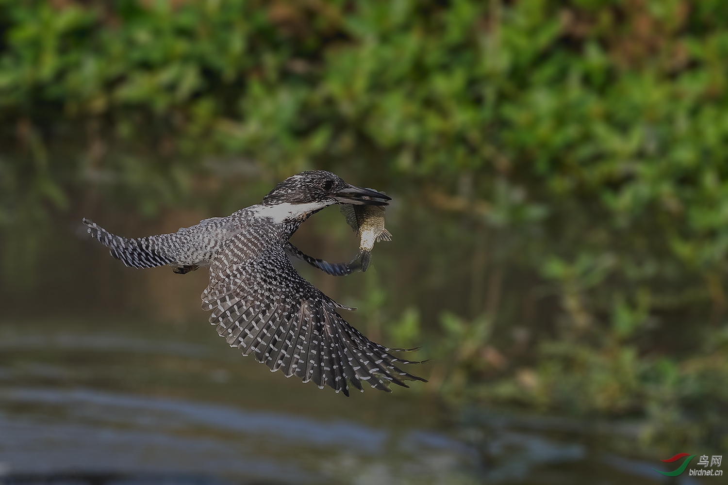 _DSC3276-2.jpg