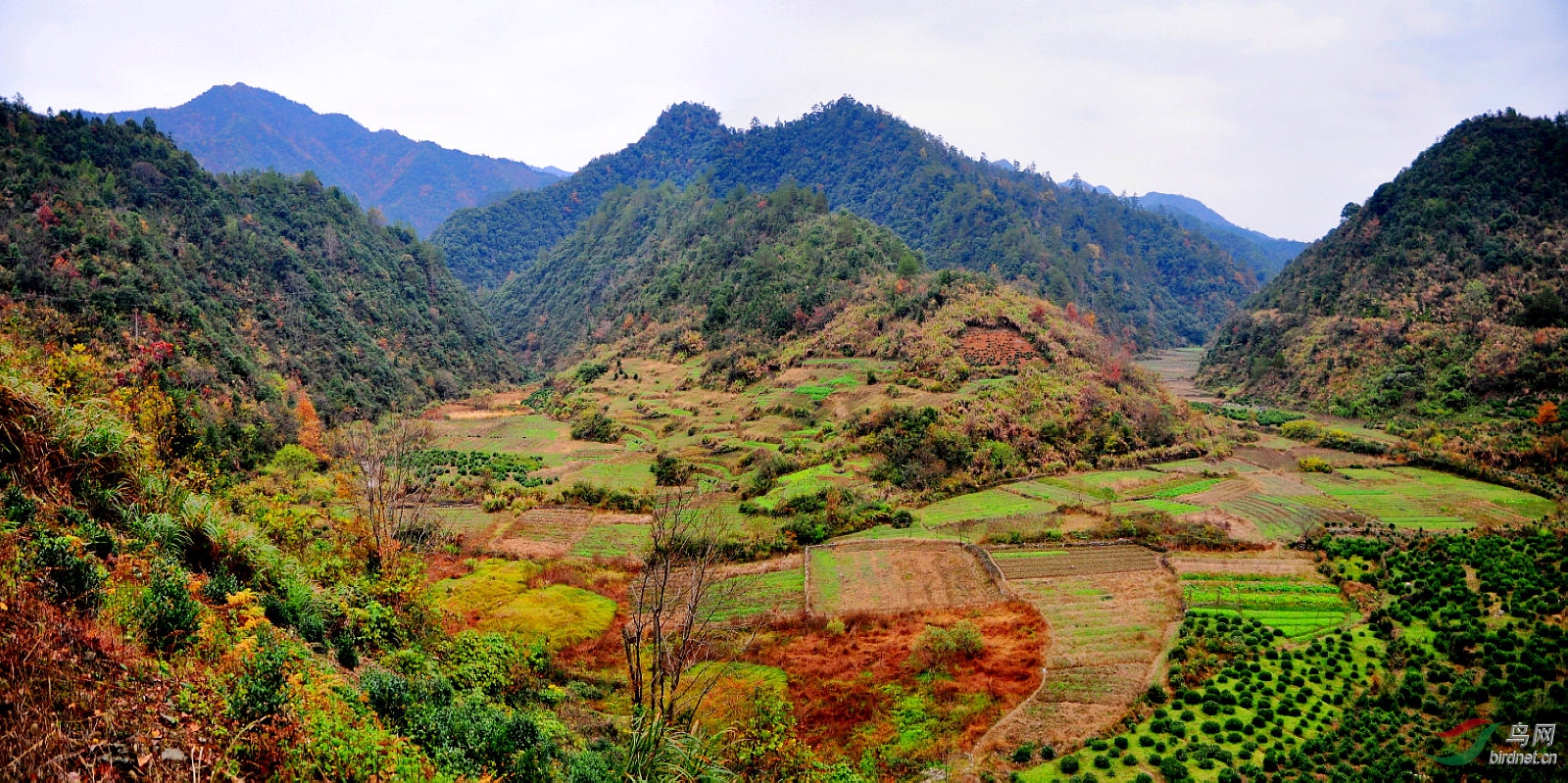 3040.3041.3042.  .JPG