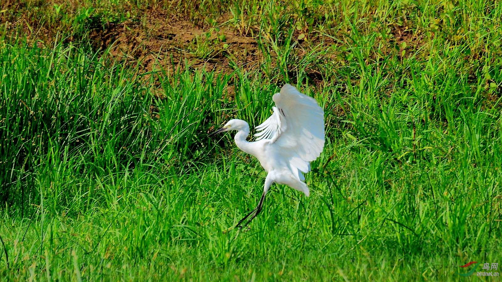 DSC_7175.JPG