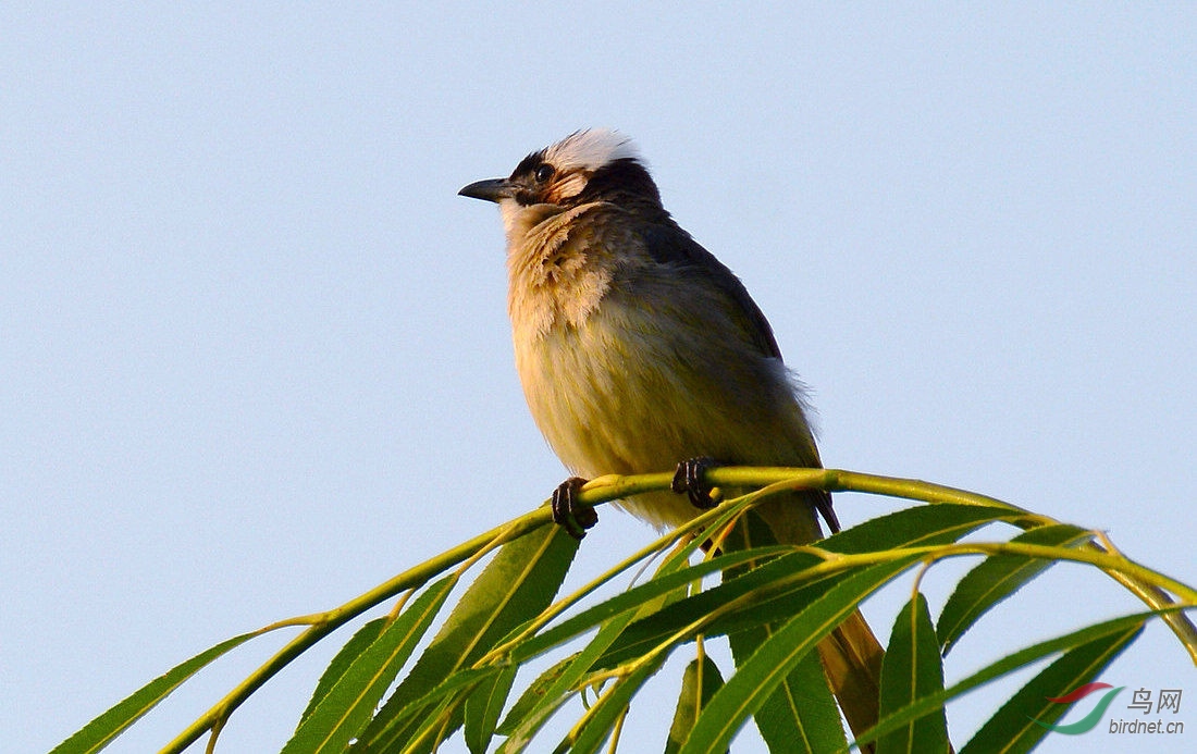 DSC_5454.JPG